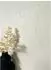newroom Alvaro Vliestapete Creme Pinselstriche Modern Metallic (02-01040465-04)
