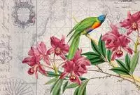 living walls Fototapete "ARTist Bird Discovery" Vlies, Wand, Schr&auml;ge