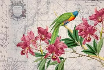 Livingwalls ARTist Bird Discovery Fototapete Vlies Blumen V&ouml;gel Weltkarte beige, gelb, gr&uuml;n (95362726-0)