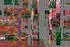 Livingwalls Walls by Patel 3 Mirage 2 Fototapete Geometrisches Mosaik Bunt (DD1-048)