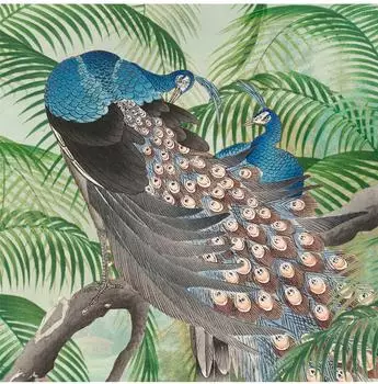 Art for the home Fototapete Peacock, Mehrfarbig, 280x200cm (26452368-0)