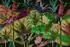 Livingwalls Walls by Patel 3 „Palmyra 2