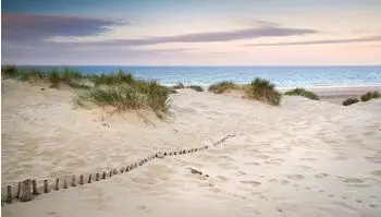 papermoon Strand 2,8x5m