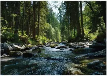 Wallarena Fototapete Wald Fluss Natur, Vlies, 250x175cm (656)