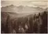 Wallarena Fototapete Wald Landschaft Vlies 400x280cm (655)
