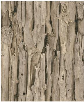 Rasch African Queen Holz (473216)