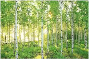 Komar Sunday 368 x 254 cm (8-519)
