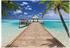 Komar Beach Resort 368 x 254 cm (8-921)