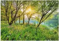 Komar Fototapete "Spring Lake - Gr&ouml;&szlig;e 368 x 254 cm" bedruckt glatt Wohnzimmer,