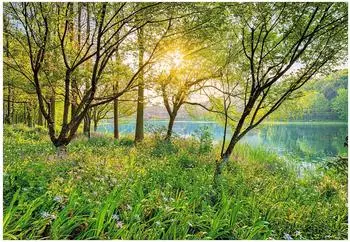 Komar Spring Lake 368 x 254 cm (8-524)