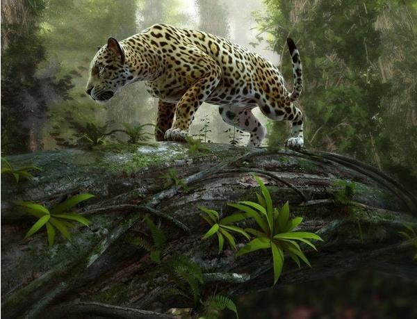 PaperMoon Jaguar on the Prowl 350 x 260 cm