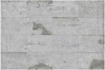 Apalis Große Betonplatten 2,9 x 4,32m (106127)