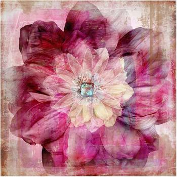 Apalis Grunge Flower 3,36 x 3,36m (95348-4)