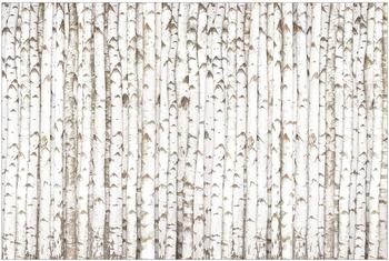 Apalis Birkenwand 2,9 x 4,32m (94754-4)