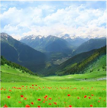 Apalis Alpenwiese 3,36 x 3,36m (95235-4)