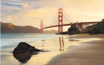 Komar Golden Gate 400 x 250 cm