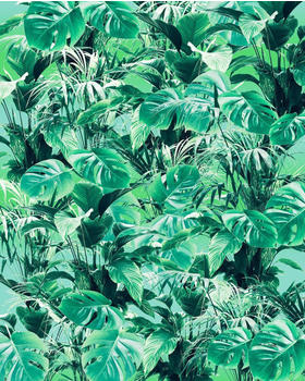 Komar Pure Evergreen 200 x 250 cm