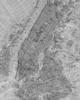 Komar Vliestapete »NYC Map«, 200x250 cm (Breite x Höhe), Vliestapete, 100 cm