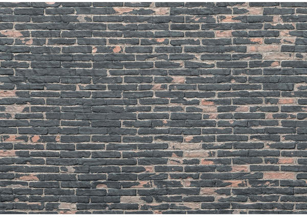 Komar Painted Bricks 368 x 248 cm
