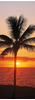 Komar Vliestapete »Hawaii«, 100x280 cm (Breite x Höhe), Vliestapete, 100 cm