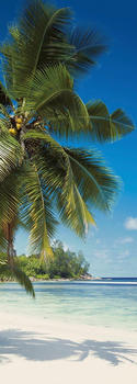Komar Coconut Bay 100 x 280 cm