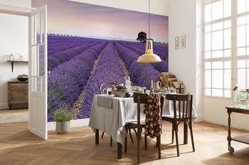 Komar Provence 400 x 260 cm