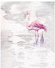 Komar Vliestapete »Pink Flamingo«, 200x250 cm (Breite x Höhe), Vliestapete, 100 cm