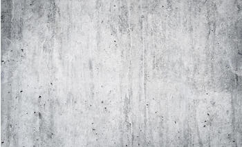 Consalnet Beton 2,54 x 1,84 m (12136)