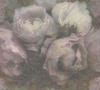 living walls Vliestapete »New Walls Romantic Dream mit romantischen Rosen«, floral,