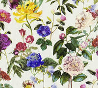 A.S. Cr&eacute;ation Vliestapete "Jette Joop tropisch floral nat&uuml;rlich" Wald botanisch 