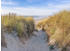 PaperMoon Dunes in Bretagne 500 x 280 cm