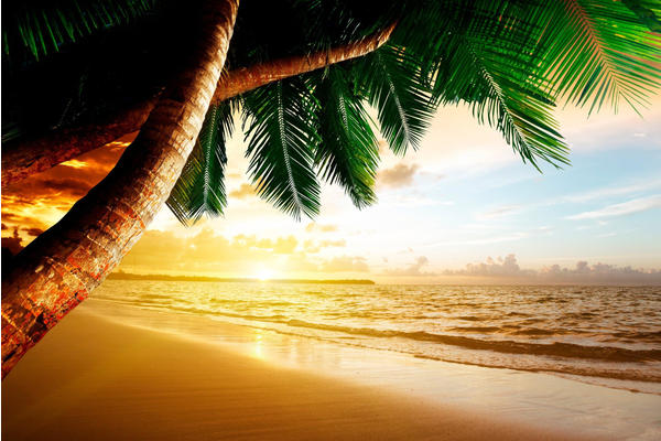 PaperMoon Caribbean Beach Sunrise 400 x 260 cm