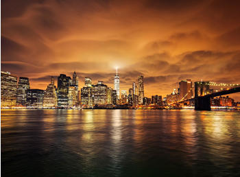 PaperMoon Manhattan at Sunset 500 x 280 cm