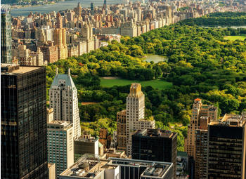 PaperMoon Central Park Manhattan 400 x 260 cm