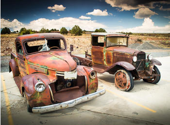 PaperMoon Abandoned Old Cars 400 x 260 cm