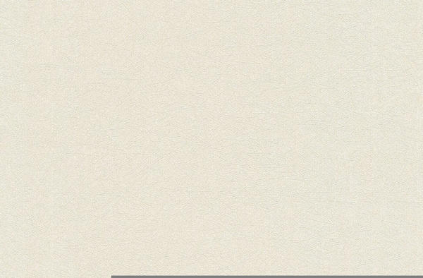 A.S. Creation Premium Wall - einfarbig, Uni, beige-metallic (55717417)