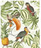 Erismann Paradisio