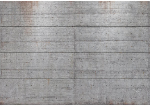 Komar Concrete Blocks 368 x 254 cm