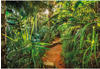 Komar Jungle Trail 368 x 254 cm