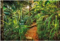 Komar Fototapete "Jungle Trail - Gr&ouml;&szlig;e 368 x 254 cm" bedruckt glatt Wohnzimmer,