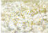 Komar DAISIES, 368 x 254 cm
