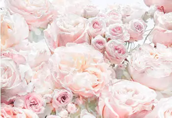 Komar Spring Roses (8-976)