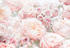 Komar Spring Roses (8-976)