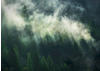 Komar Vliestapete »Misty Crowns«, 350x250 cm (Breite x Höhe)