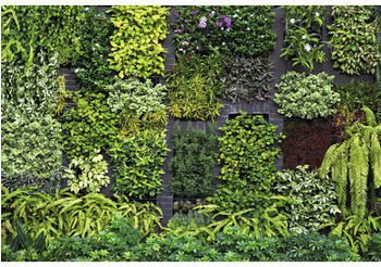 Erismann Imitations 2 Garden 8-tlg. 400 x 270 cm (2227-10)