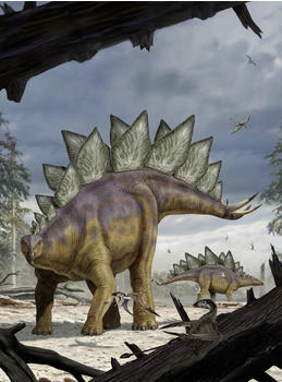 Komar Stegosaurus 184 x 248 cm (XXL2-530)