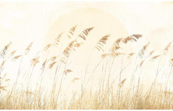 Komar Le Jardin Dune Grass 8-tlg. 400 x 250 cm (LJX8-063)