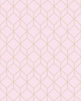 Art for the home Myrtle Geometrisch rosa gold (104122)