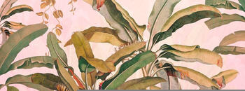 Komar Plantation 350 x 270 cm