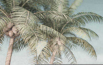 Komar Palm Oasis bunt 200 x 280 cm